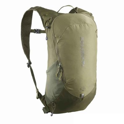 Salomon Trailblazer 10