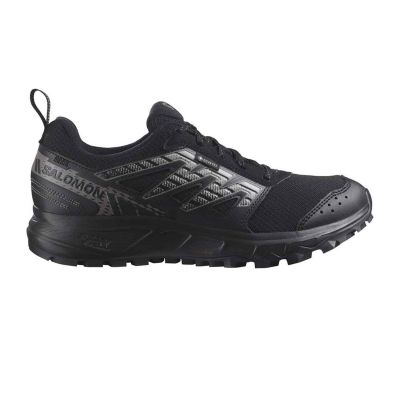 Salomon Wander GTX W