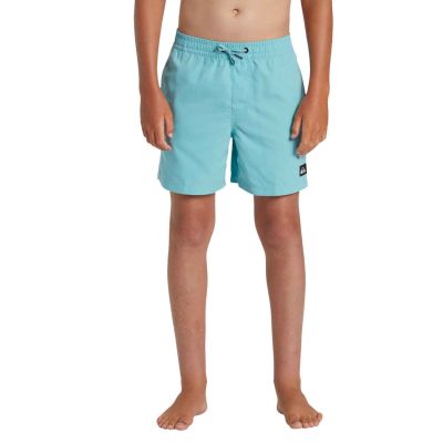 Quiksilver Everyday Solid Volley 14" Swimshorts K