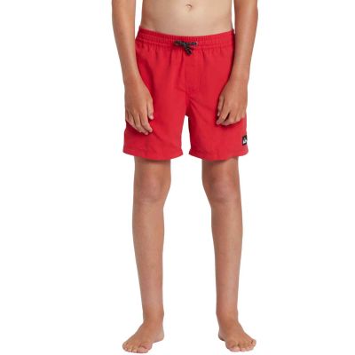 Quiksilver Everyday Solid Volley 14" Swimshorts K